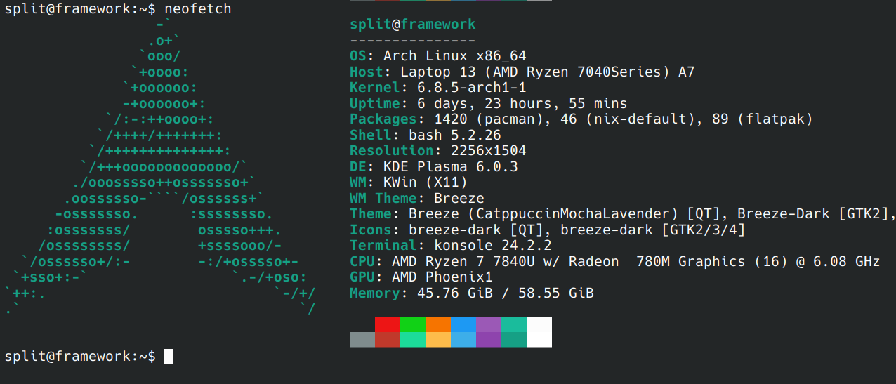 Screenshot of a neofetch on my laptop